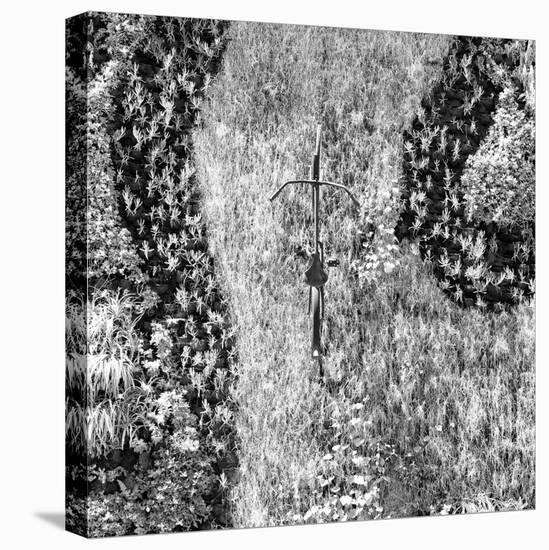 ¡Viva Mexico! Square Collection - Earth from above VI-Philippe Hugonnard-Stretched Canvas