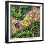 ¡Viva Mexico! Square Collection - Earth from above-Philippe Hugonnard-Framed Photographic Print