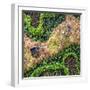 ¡Viva Mexico! Square Collection - Earth from above-Philippe Hugonnard-Framed Photographic Print