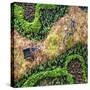 ¡Viva Mexico! Square Collection - Earth from above-Philippe Hugonnard-Stretched Canvas