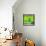 ¡Viva Mexico! Square Collection - Green Papeleria-Philippe Hugonnard-Framed Stretched Canvas displayed on a wall