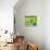 ¡Viva Mexico! Square Collection - Green Papeleria-Philippe Hugonnard-Stretched Canvas displayed on a wall