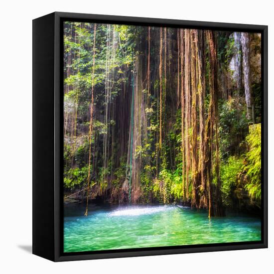 ¡Viva Mexico! Square Collection - Hanging Roots of Ik-Kil Cenote II-Philippe Hugonnard-Framed Stretched Canvas