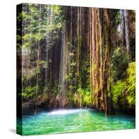 ¡Viva Mexico! Square Collection - Hanging Roots of Ik-Kil Cenote II-Philippe Hugonnard-Stretched Canvas