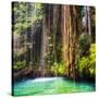 ¡Viva Mexico! Square Collection - Hanging Roots of Ik-Kil Cenote II-Philippe Hugonnard-Stretched Canvas