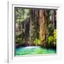 ¡Viva Mexico! Square Collection - Hanging Roots of Ik-Kil Cenote II-Philippe Hugonnard-Framed Photographic Print