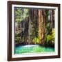 ¡Viva Mexico! Square Collection - Hanging Roots of Ik-Kil Cenote II-Philippe Hugonnard-Framed Photographic Print