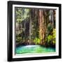 ¡Viva Mexico! Square Collection - Hanging Roots of Ik-Kil Cenote II-Philippe Hugonnard-Framed Photographic Print