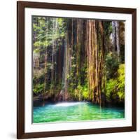 ¡Viva Mexico! Square Collection - Hanging Roots of Ik-Kil Cenote II-Philippe Hugonnard-Framed Photographic Print