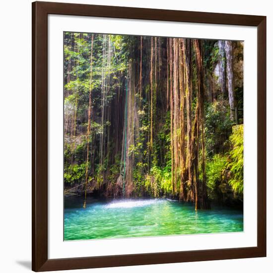 ¡Viva Mexico! Square Collection - Hanging Roots of Ik-Kil Cenote II-Philippe Hugonnard-Framed Photographic Print