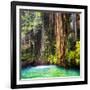 ¡Viva Mexico! Square Collection - Hanging Roots of Ik-Kil Cenote II-Philippe Hugonnard-Framed Photographic Print