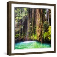 ¡Viva Mexico! Square Collection - Hanging Roots of Ik-Kil Cenote II-Philippe Hugonnard-Framed Photographic Print