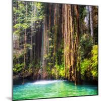 ¡Viva Mexico! Square Collection - Hanging Roots of Ik-Kil Cenote II-Philippe Hugonnard-Mounted Photographic Print