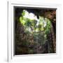 ¡Viva Mexico! Square Collection - Hanging Roots of Ik-Kil Cenote III-Philippe Hugonnard-Framed Photographic Print