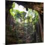 ¡Viva Mexico! Square Collection - Hanging Roots of Ik-Kil Cenote III-Philippe Hugonnard-Mounted Photographic Print