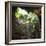 ¡Viva Mexico! Square Collection - Hanging Roots of Ik-Kil Cenote III-Philippe Hugonnard-Framed Photographic Print