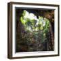 ¡Viva Mexico! Square Collection - Hanging Roots of Ik-Kil Cenote III-Philippe Hugonnard-Framed Photographic Print