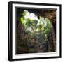 ¡Viva Mexico! Square Collection - Hanging Roots of Ik-Kil Cenote III-Philippe Hugonnard-Framed Photographic Print