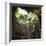 ¡Viva Mexico! Square Collection - Hanging Roots of Ik-Kil Cenote III-Philippe Hugonnard-Framed Photographic Print