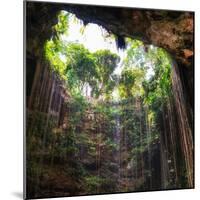 ¡Viva Mexico! Square Collection - Hanging Roots of Ik-Kil Cenote III-Philippe Hugonnard-Mounted Photographic Print