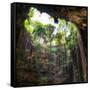 ¡Viva Mexico! Square Collection - Hanging Roots of Ik-Kil Cenote III-Philippe Hugonnard-Framed Stretched Canvas
