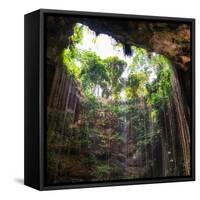 ¡Viva Mexico! Square Collection - Hanging Roots of Ik-Kil Cenote III-Philippe Hugonnard-Framed Stretched Canvas