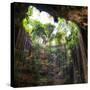 ¡Viva Mexico! Square Collection - Hanging Roots of Ik-Kil Cenote III-Philippe Hugonnard-Stretched Canvas