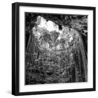 ¡Viva Mexico! Square Collection - Hanging Roots of Ik-Kil Cenote IV-Philippe Hugonnard-Framed Photographic Print