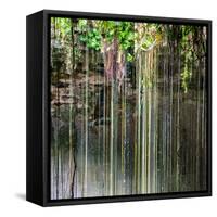 ¡Viva Mexico! Square Collection - Hanging Roots of Ik-Kil Cenote V-Philippe Hugonnard-Framed Stretched Canvas