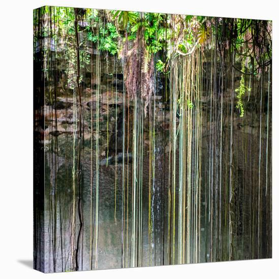 ¡Viva Mexico! Square Collection - Hanging Roots of Ik-Kil Cenote V-Philippe Hugonnard-Stretched Canvas