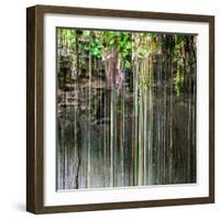 ¡Viva Mexico! Square Collection - Hanging Roots of Ik-Kil Cenote V-Philippe Hugonnard-Framed Photographic Print