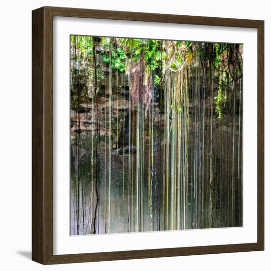 ¡Viva Mexico! Square Collection - Hanging Roots of Ik-Kil Cenote V-Philippe Hugonnard-Framed Photographic Print