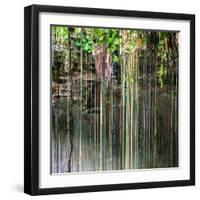 ¡Viva Mexico! Square Collection - Hanging Roots of Ik-Kil Cenote V-Philippe Hugonnard-Framed Photographic Print