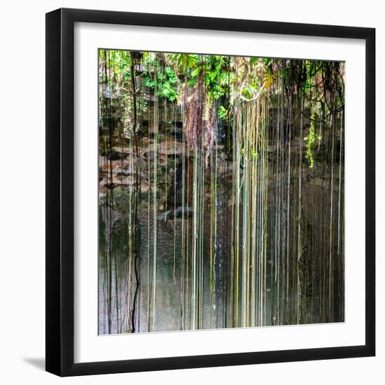 ¡Viva Mexico! Square Collection - Hanging Roots of Ik-Kil Cenote V-Philippe Hugonnard-Framed Photographic Print