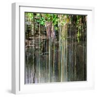 ¡Viva Mexico! Square Collection - Hanging Roots of Ik-Kil Cenote V-Philippe Hugonnard-Framed Photographic Print