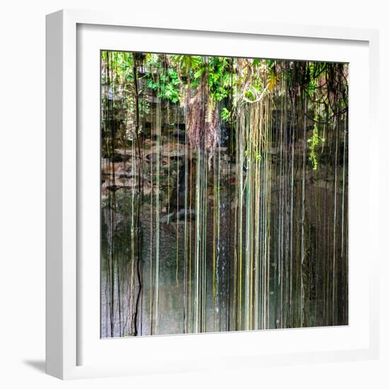 ¡Viva Mexico! Square Collection - Hanging Roots of Ik-Kil Cenote V-Philippe Hugonnard-Framed Photographic Print