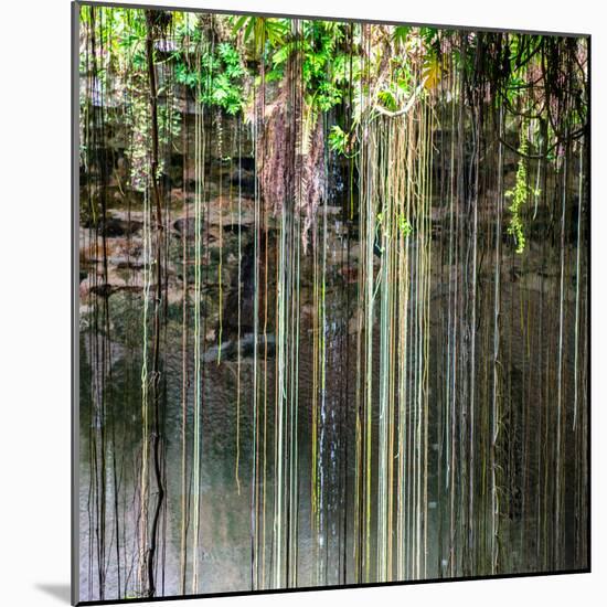 ¡Viva Mexico! Square Collection - Hanging Roots of Ik-Kil Cenote V-Philippe Hugonnard-Mounted Photographic Print