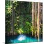 ¡Viva Mexico! Square Collection - Hanging Roots of Ik-Kil Cenote-Philippe Hugonnard-Mounted Photographic Print