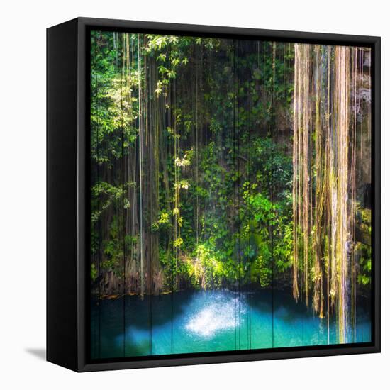 ¡Viva Mexico! Square Collection - Hanging Roots of Ik-Kil Cenote-Philippe Hugonnard-Framed Stretched Canvas