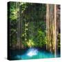 ¡Viva Mexico! Square Collection - Hanging Roots of Ik-Kil Cenote-Philippe Hugonnard-Stretched Canvas