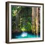 ¡Viva Mexico! Square Collection - Hanging Roots of Ik-Kil Cenote-Philippe Hugonnard-Framed Photographic Print