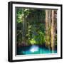 ¡Viva Mexico! Square Collection - Hanging Roots of Ik-Kil Cenote-Philippe Hugonnard-Framed Photographic Print