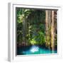 ¡Viva Mexico! Square Collection - Hanging Roots of Ik-Kil Cenote-Philippe Hugonnard-Framed Photographic Print