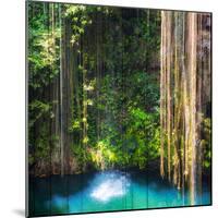 ¡Viva Mexico! Square Collection - Hanging Roots of Ik-Kil Cenote-Philippe Hugonnard-Mounted Photographic Print