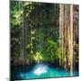 ¡Viva Mexico! Square Collection - Hanging Roots of Ik-Kil Cenote-Philippe Hugonnard-Mounted Photographic Print