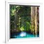 ¡Viva Mexico! Square Collection - Hanging Roots of Ik-Kil Cenote-Philippe Hugonnard-Framed Photographic Print