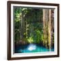 ¡Viva Mexico! Square Collection - Hanging Roots of Ik-Kil Cenote-Philippe Hugonnard-Framed Photographic Print