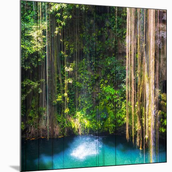 ¡Viva Mexico! Square Collection - Hanging Roots of Ik-Kil Cenote-Philippe Hugonnard-Mounted Photographic Print