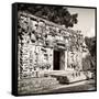 ¡Viva Mexico! Square Collection - Hochob Mayan Pyramids of Campeche VII-Philippe Hugonnard-Framed Stretched Canvas