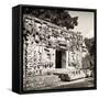 ¡Viva Mexico! Square Collection - Hochob Mayan Pyramids of Campeche VII-Philippe Hugonnard-Framed Stretched Canvas